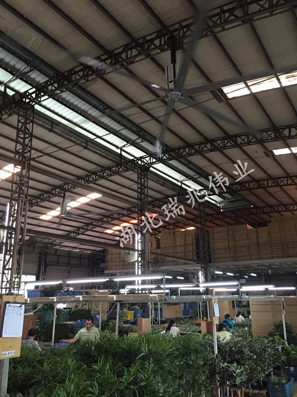 大型工業(yè)吊扇，效果好且省錢